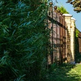 Продажа земли Онегин Парк кп, д. Глинка Продажа земли Онегин Парк кп, д. Глинка