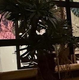 Продажа 1-комн квартиры на вторичном рынке Кронштадт, Флотская улица, 2