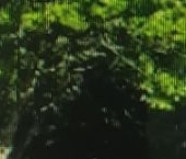 Продать Дачи, коттеджи, загородные дома д. Малое Замостье, 9   