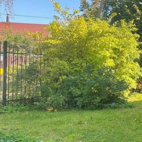 Коттедж/дом Здоровье-1 СНТ, улица Лесная,  д. 32