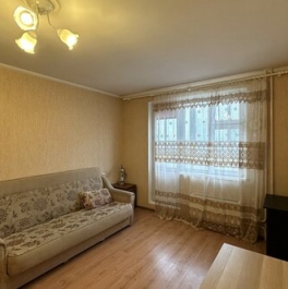 Продажа 1-комн квартиры на вторичном рынке улица Кашёнкин Луг