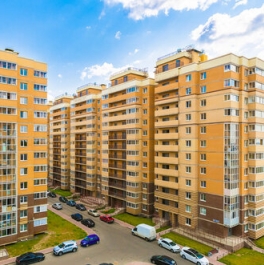 Продажа 1-комн квартиры на вторичном рынке Янино-1 д, Голландская ул