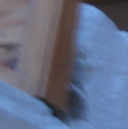 Аренда 1-комн квартиры на вторичном рынке Путевой проезд, 4