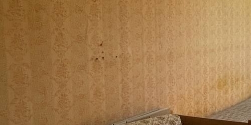 2-комн квартира улица Молостовых, 19К1