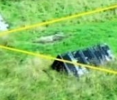 Продать Земельные участки, земля пос. Войсковицы, улица Ростова, 7   