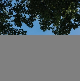 Продажа 2-комн квартиры на вторичном рынке Пятницкое ш,  д. 58,  к. 1