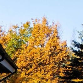 Продажа дома д. Бережок, 55 Продажа дома д. Бережок, 55