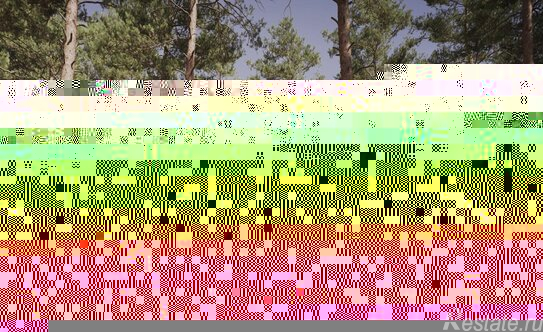 Продажа 1-комн квартиры на вторичном рынке Сертолово-1, Парковый проезд,  д. 5