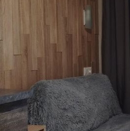 Продажа 1-комн квартиры на вторичном рынке пос. Шушары, Московское шоссе, 246