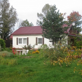 Продажа дома Большая Ижора пгт, Луговая ул,  д. 8