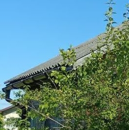 Продажа дома Посадников остров садоводческий массив, Магистраль СНТ, 7-я линия Продажа дома Посадников остров садоводческий массив, Магистраль СНТ, 7-я линия