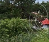 Продать Дачи, коттеджи, загородные дома Фауна СНТ, 148   