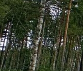 Продать Земельные участки, земля Резиденция у озера кп, 1-я линия  11 