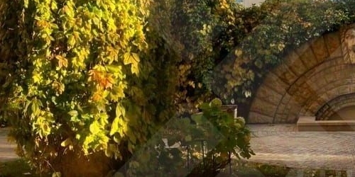 5-комн квартира Большой Левшинский переулок, 11