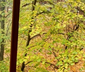 Продать Квартиры вторичка Клязьма-Старбеево, улица Мичурина  11 