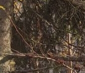 Продать Квартиры вторичка Нахабино пгт, улица Институтская, 2   