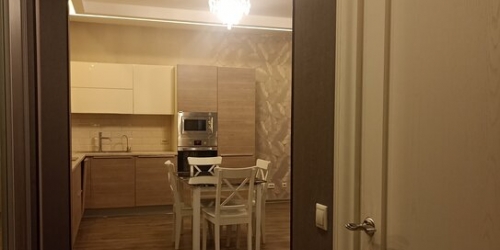2-комн квартира ул Профессора Попова,  д. 44