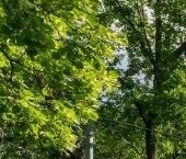 Продать Квартиры вторичка Аптекарский переулок, 10/1   