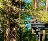 Продать Дачи, коттеджи, загородные дома пос. Ленинское, улица Ольгинская   