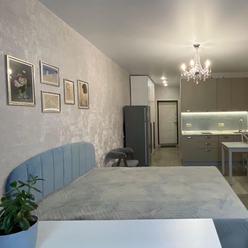 Студия с. Домодедово, улица Высотная, 11