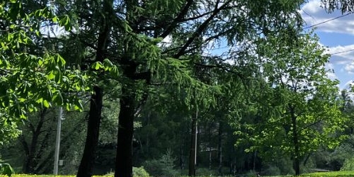 4-комн квартира Павловск, Госпитальная улица, 20к1