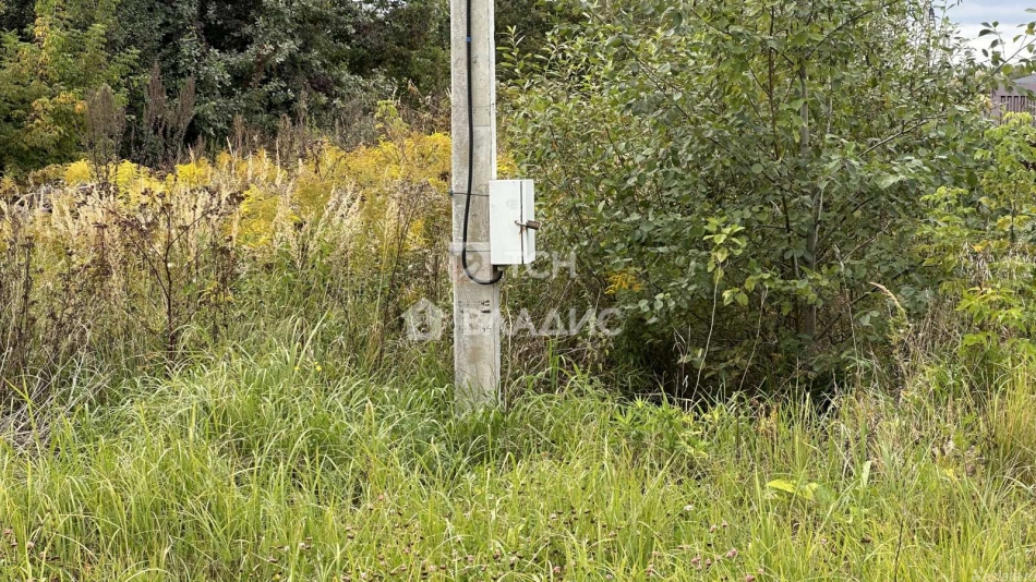 Продажа земли деревня Корпуса, улица Брюса