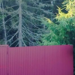 Продажа земли Гутлов Ручей СНТ, 1-я линия Продажа земли Гутлов Ручей СНТ, 1-я линия