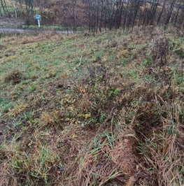 Продажа земли Калиновка, 46Н-13968, д. 57А Продажа земли Калиновка, 46Н-13968, д. 57А