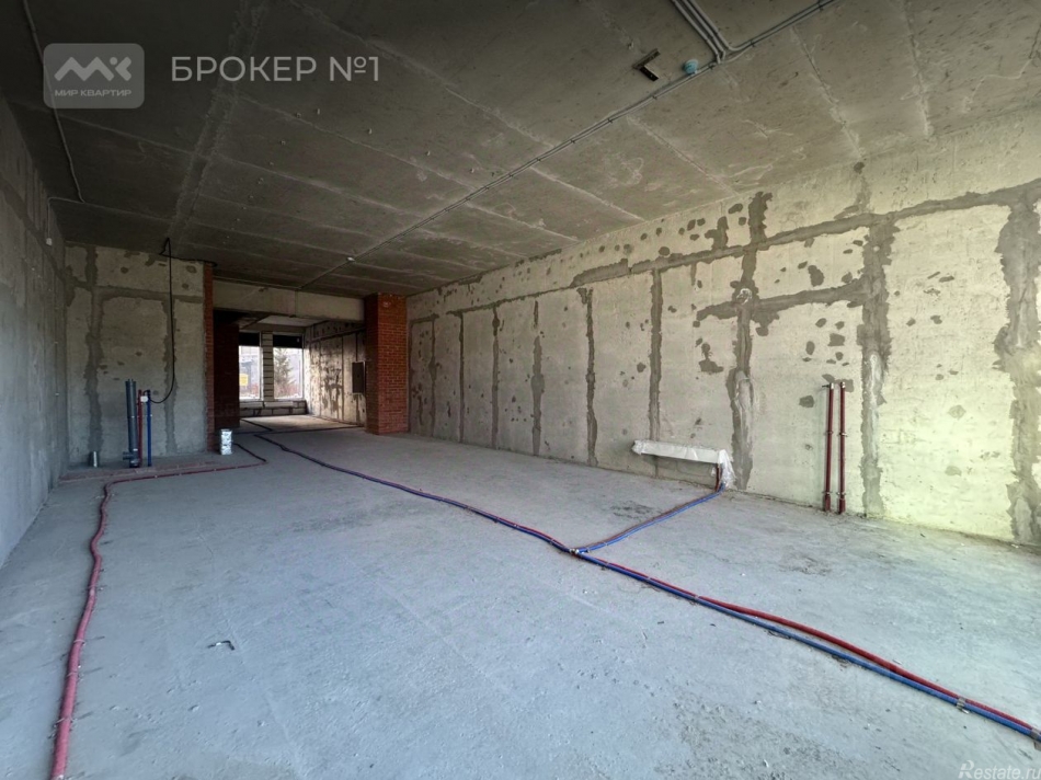 Аренда ПСН Заневский пр-кт,  д. 65