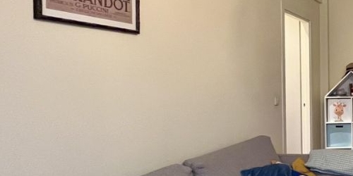 2-комн квартира Кутузовский проспект, 4/2