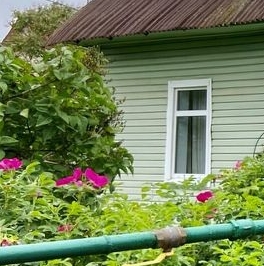 Продажа дома пос. Стрельна, улица Нижняя Колония, 25