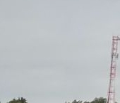 Продать Дачи, коттеджи, загородные дома Малое Репино кп  63 