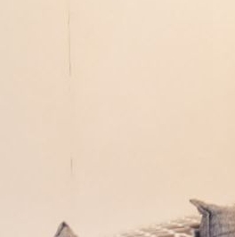 Продажа 3-комн квартиры на вторичном рынке улица Партизана Германа, 23 Продажа 3-комн квартиры на вторичном рынке улица Партизана Германа, 23