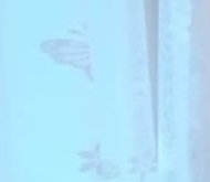 Продажа квартиры на вторичке Сестрорецк, Приморское шоссе, 270