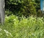 Продать Земельные участки, земля д. Меньково, улица Огородная, 63   