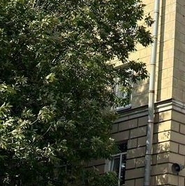 Продажа 3-комн квартиры на вторичном рынке Среднеохтинский проспект, 2А Продажа 3-комн квартиры на вторичном рынке Среднеохтинский проспект, 2А