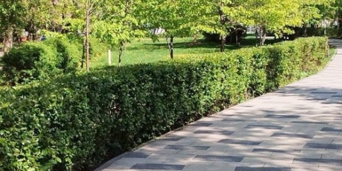 3-комн квартира улица Ферсмана,  д. 9