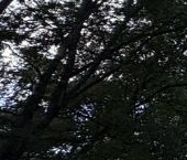 Продать Квартиры вторичка Хотьково, улица Ленина, 3   