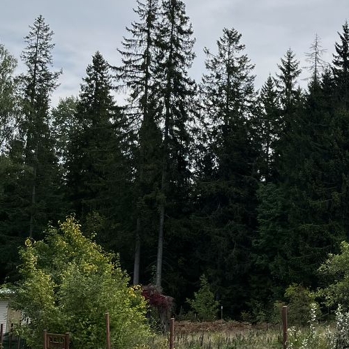 Коттедж/дом Березка СНТ