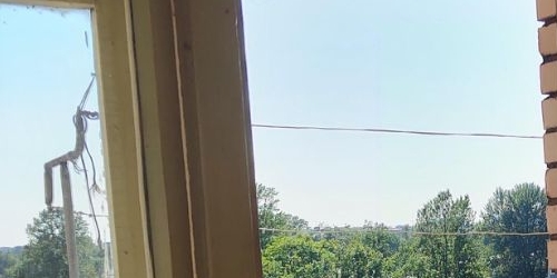 Комната шоссе Революции, 87