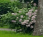 Продать Дачи, коттеджи, загородные дома Сестрорецк, улица Мосина, 76   