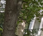 Продать Квартиры вторичка улица Димитрова, 18К3   