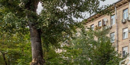 3-комн квартира Васильевская улица, 2к1