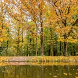 Продажа ПСН Загородная улица Продажа ПСН Загородная улица
