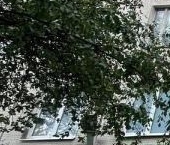 Продать Квартиры вторичка Купчинская улица, 20К3   