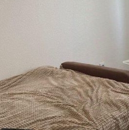 Аренда 1-комн квартиры на вторичном рынке пос. Бугры, улица Тихая, 9к5