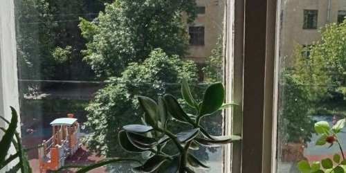 Комната 9-я Красноармейская улица, 3/7