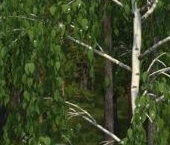 Продать Дачи, коттеджи, загородные дома Высокий Стиль кп, д. Васкелово   