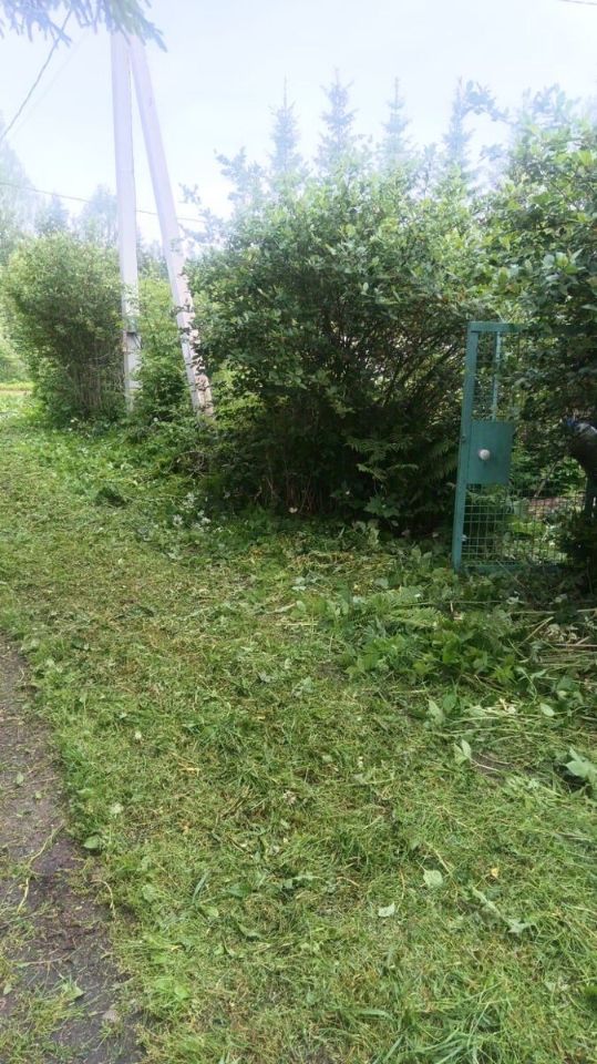 Продажа земли пос. Прибытково, Средний проспект