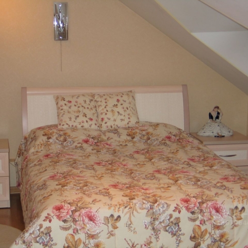 Коттедж/дом Борки, Загородная улица,  д. 93